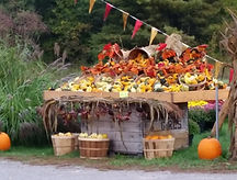 14712570_1086588551461602_79676277843649