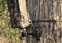 EZ-Aim III, Anything Sportsman.com.jpg