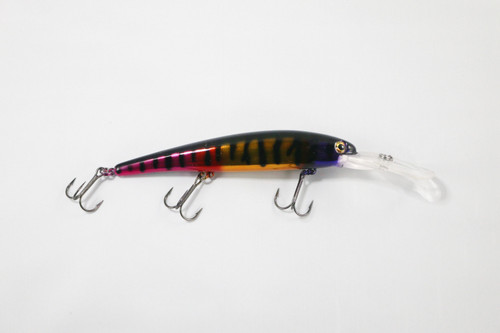 JT Custom Bandit Nascar | M65 Baitshop II