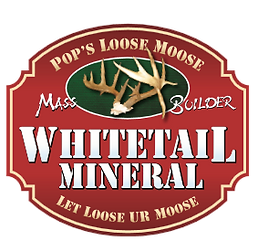 932e06_27a008e3bfc24c5d93ca4b1e6f674a53.