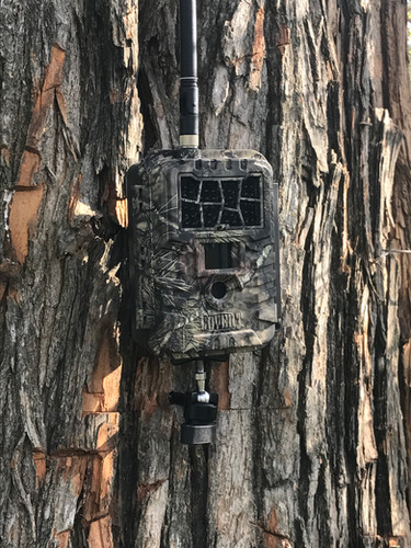Slate River Stealth Camera Mount - Secure Mounting For Trail Cameras & Hunting Gear