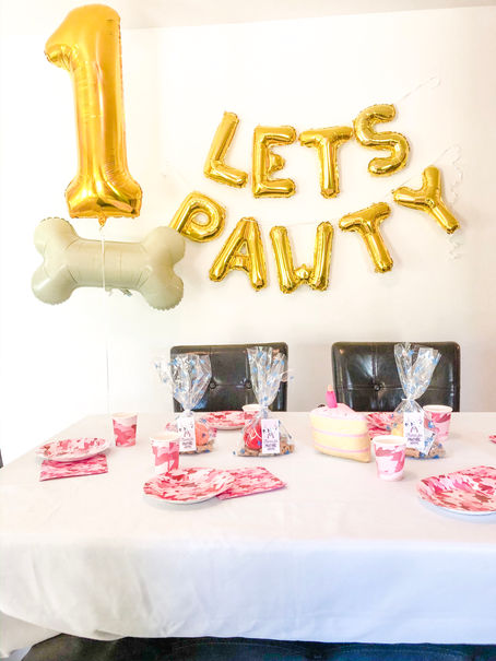 Let's Pawty