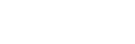 shopify-logo.png