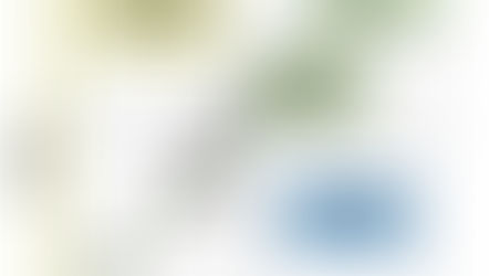 The "Suffering Capacity Theory" 