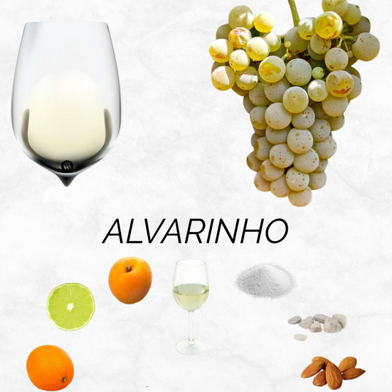 Alvarinho WSET