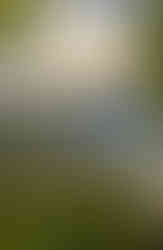 Douro Valley - Porto