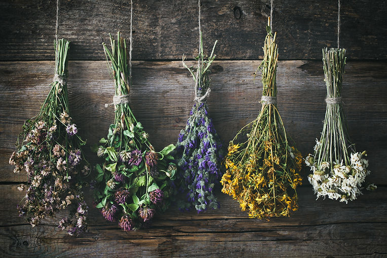 Hanging bunches of medicinal herbs and flowers. Herbal medicine. Retro toned..jpg