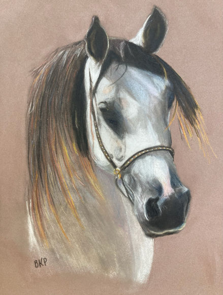 Arab horse art