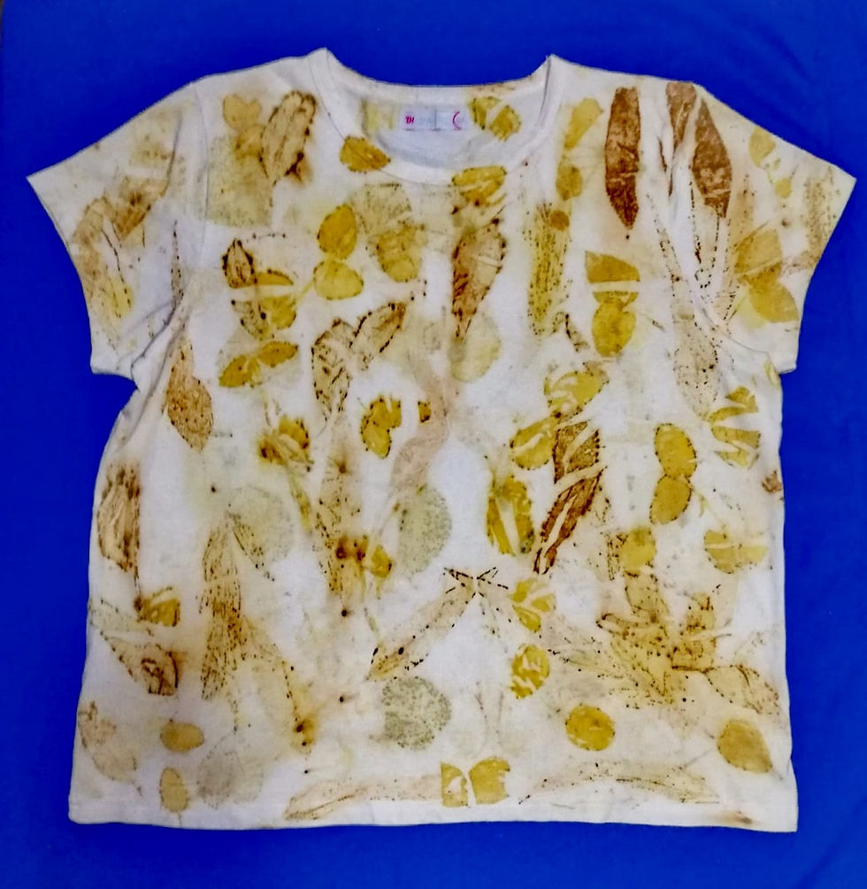 Miniatura: camisas