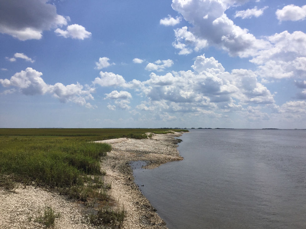The view from Marsh Landing Dock