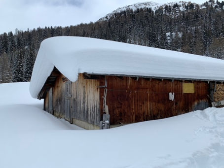 The winter of my dreams (part 2)