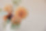 Katherine Schwingel Photography_Rachel Dyk-001.jpg