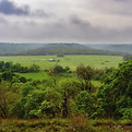 Foggy-Morning-Laural-Ranch.jpg