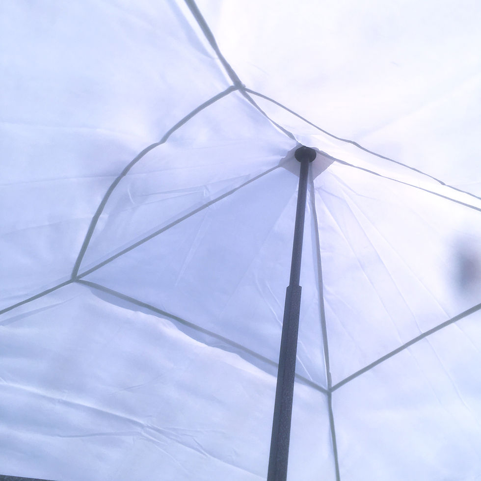 Thumbnail: Tentol30 2mx2m Heavy Duty Pop Up Gazebo + Slip Bag