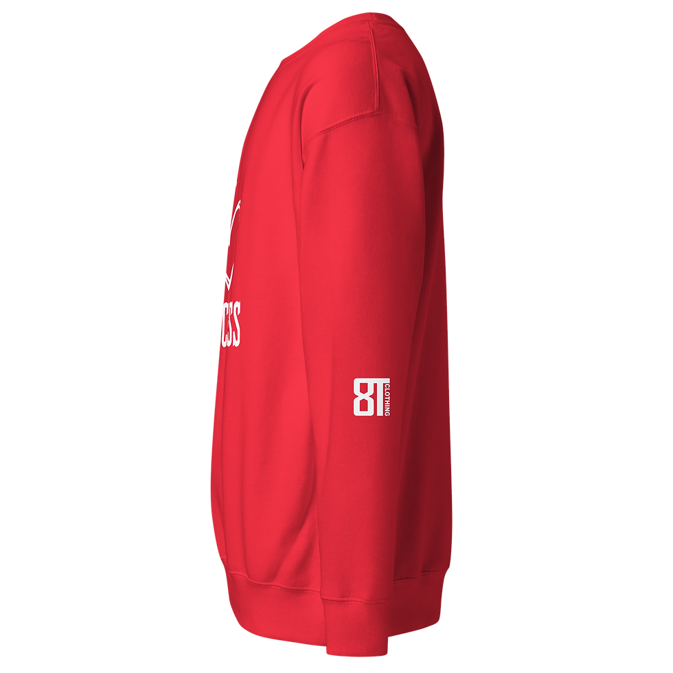 Thumbnail: 8T Clothing - Valentines I Love Success - Unisex Premium Sweatshirt