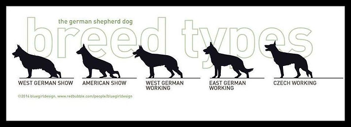 working-lines-gsd1.jpeg