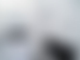 SUCCESSFUL PASSIVE INVESTOR FLIP