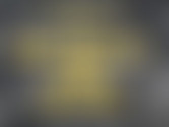 Orlando REI Affair Facebook Event Link