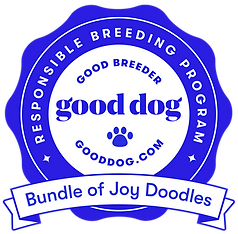 bundle-of-joy-doodles-badge.png