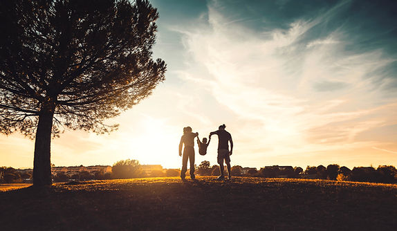 silhouette-of-happy-family-walking-in-the-meadow-a-2022-01-18-23-55-34-utc.jpg