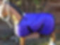 3’3” 3’6” Turnout Pony Rug 