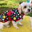 Thumbnail: 32” 34” Fleece Dog Coat 