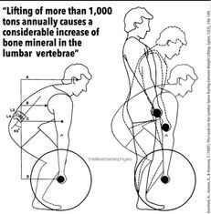 lifting more than 1000 tons annually causes a considerable increase in bone mineral density in lumbar vertebrae
