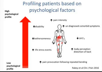 Rabey M, Smith A, Beales D, Slater H, O'Sullivan P. Differing Psychologically Derived Clusters in People With Chronic Low Back Pain are Associated With Different Multidimensional Profiles. Clin J Pain. 2016 Dec;32(12):1015-1027. doi: 10.1097/AJP.0000000000000363. PMID: 26889613.