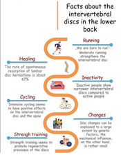 facts about the intervertebral discs in the lower back