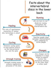 facts about the intervertebral discs in the lower back
