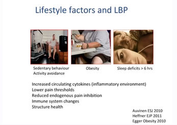 lifestyle factors also contribute to low back pain: 3 main areas, poor sleep (less than 6hrs daily), sedentary lifestyle, activity avoidant behaviors, obesity. All these reduces body immunity and increase inflammatory body markers