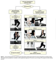 patellar tendinopathy (aka jumpers knee)
1) pain provoking eccentric exercise therapy - such as decline single leg decline squat
4 stage progressive tendon loading exercises
1) isometrics (static) exercises
2) isotonic (dynamic) exercises
3) energy storage (explosive) exercises
thereafter sport specific exercises