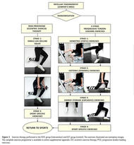 patellar tendinopathy (aka jumpers knee) 
1) pain provoking eccentric exercise therapy - such as decline single leg decline squat

4 stage progressive tendon loading exercises 
1) isometrics (static) exercises 
2) isotonic (dynamic) exercises 
3) energy storage (explosive) exercises

thereafter sport specific exercises 