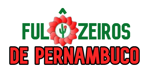 Foto do escritor: Fulôzeiros