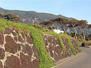 パームライン沿いの御神火温泉
