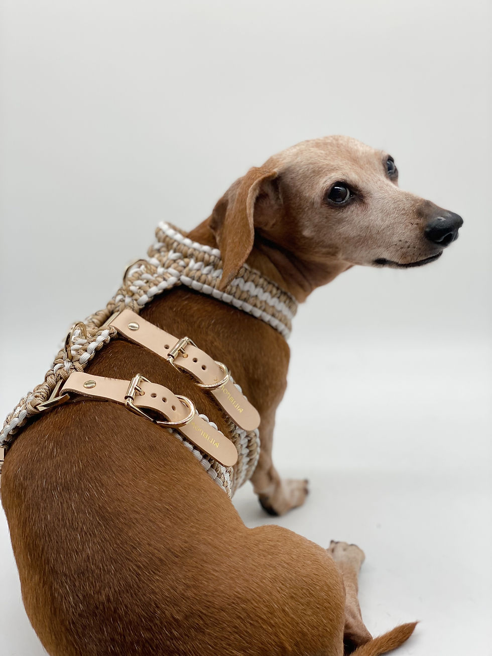 Thumbnail: SPISSUS Paracord Three-Straps Harness
