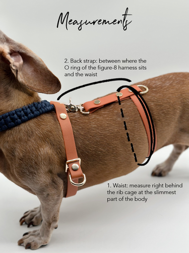 VOLO Waterproof PVC Waist Strap (Figure-8 Harness Add-on