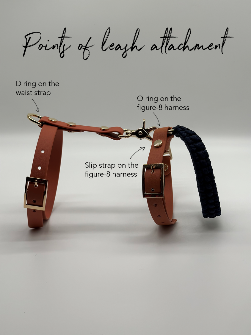 Thumbnail: VOLO Waterproof PVC Waist Strap (Figure-8 Harness Add-on)