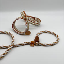 Paracord