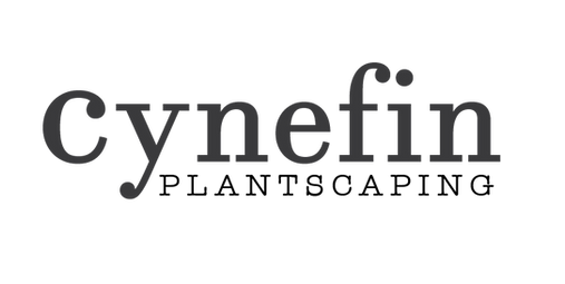 cynefin_logo-03.png