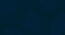 deep blue background top.jpg