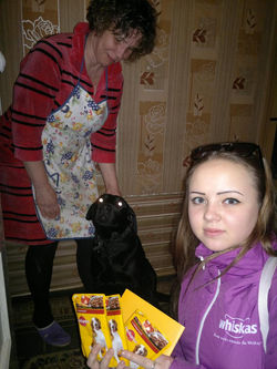 акция от Marc с маркой Pedigree 