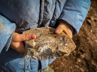 Fossiliensuche in nettersheim