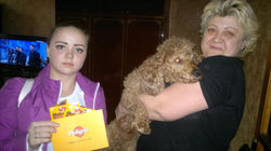 акция от Marc с маркой Pedigree 