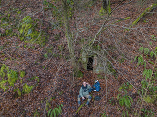 Der Stollen der Feuersalamander 