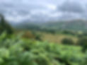 IMG_9490.jpeg