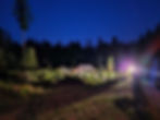 night on the garden.jpg