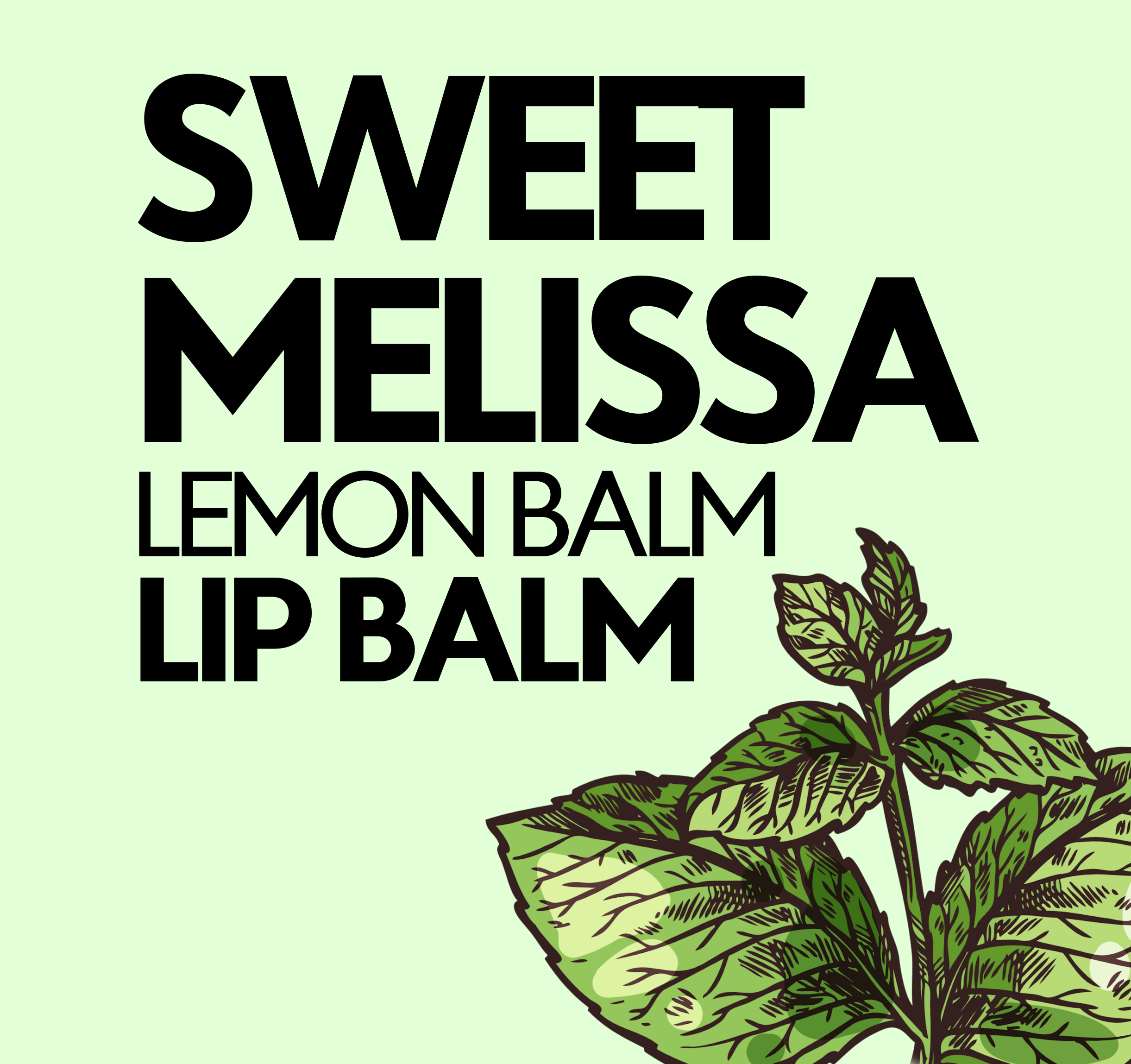 SWEET MELISSA Lemon Balm Lip Balm