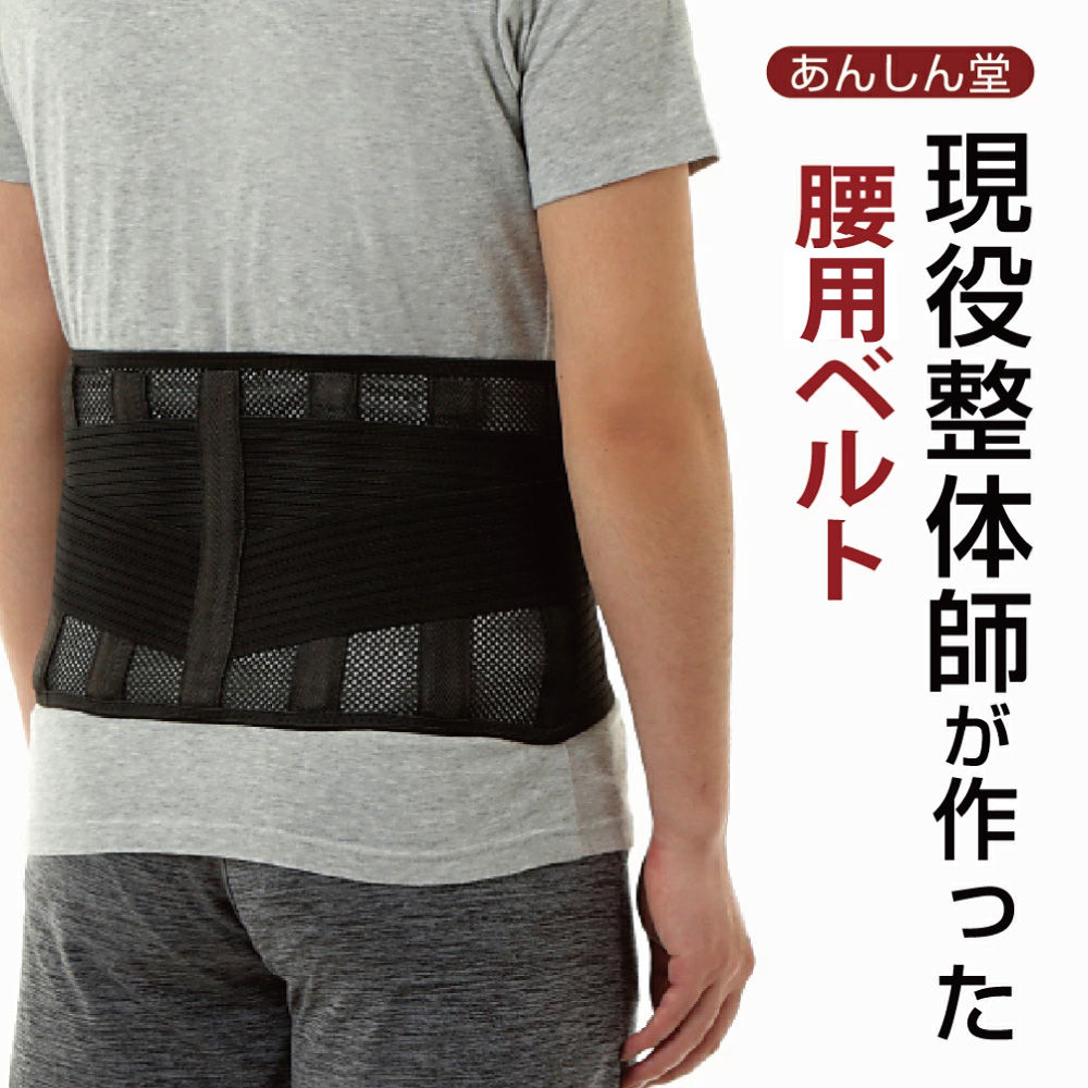 【整体師監修】ANSINDO 腰痛ベルト 腰サポーター 5プレート構造 メッシュ 通気性 腰コルセット 姿勢矯正 男女兼用 M L XL XXL