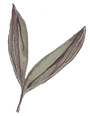 21_edited.png